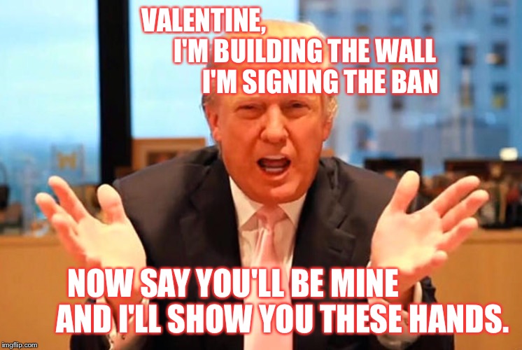 Trump Valentine | VALENTINE,                                      
I'M BUILDING THE WALL                      
I'M SIGNING THE BAN; NOW SAY YOU'LL BE MINE                
AND I'LL SHOW YOU THESE HANDS. | image tagged in trump | made w/ Imgflip meme maker