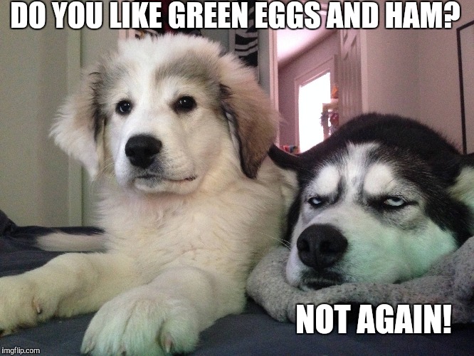 DO YOU LIKE GREEN EGGS AND HAM? NOT AGAIN! | image tagged in funny,annoying dog | made w/ Imgflip meme maker