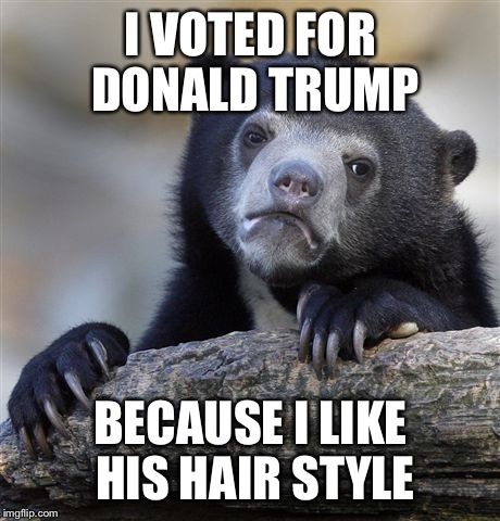 Confession Bear | I VOTED FOR DONALD TRUMP; BECAUSE I LIKE HIS HAIR STYLE | image tagged in memes,confession bear | made w/ Imgflip meme maker