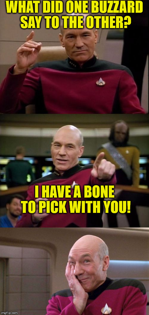 Engage | WHAT DID ONE BUZZARD SAY TO THE OTHER? I HAVE A BONE TO PICK WITH YOU! | image tagged in bad pun picard | made w/ Imgflip meme maker