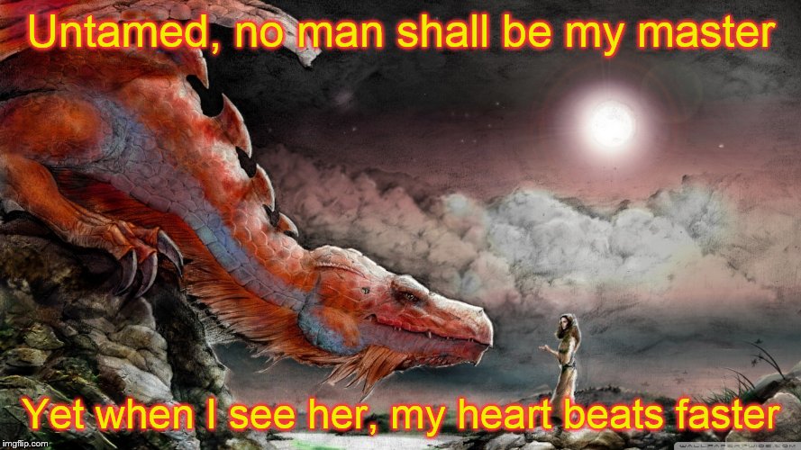 Untamed, no man shall be my master; Yet when I see her, my heart beats faster | image tagged in red dragon,untamed | made w/ Imgflip meme maker