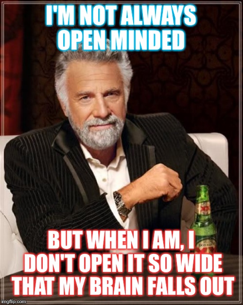 The Most Interesting Man In The World | I'M NOT ALWAYS OPEN MINDED; BUT WHEN I AM, I DON'T OPEN IT SO WIDE THAT MY BRAIN FALLS OUT | image tagged in memes,the most interesting man in the world | made w/ Imgflip meme maker