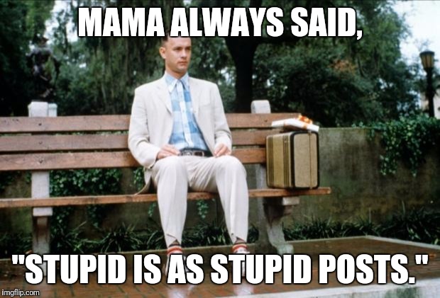 Forrest Gump | MAMA ALWAYS SAID, "STUPID IS AS STUPID POSTS." | image tagged in forrest gump | made w/ Imgflip meme maker