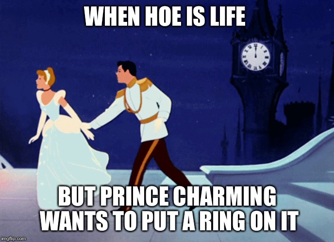 cinderella | WHEN HOE IS LIFE; BUT PRINCE CHARMING WANTS TO PUT A RING ON IT | image tagged in cinderella | made w/ Imgflip meme maker
