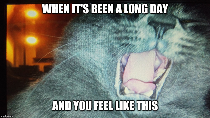 WHEN IT'S BEEN A LONG DAY; AND YOU FEEL LIKE THIS | image tagged in i hate mondays | made w/ Imgflip meme maker