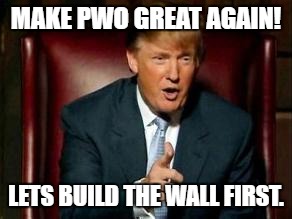 Donald Trump | MAKE PWO GREAT AGAIN! LETS BUILD THE WALL FIRST. | image tagged in donald trump | made w/ Imgflip meme maker