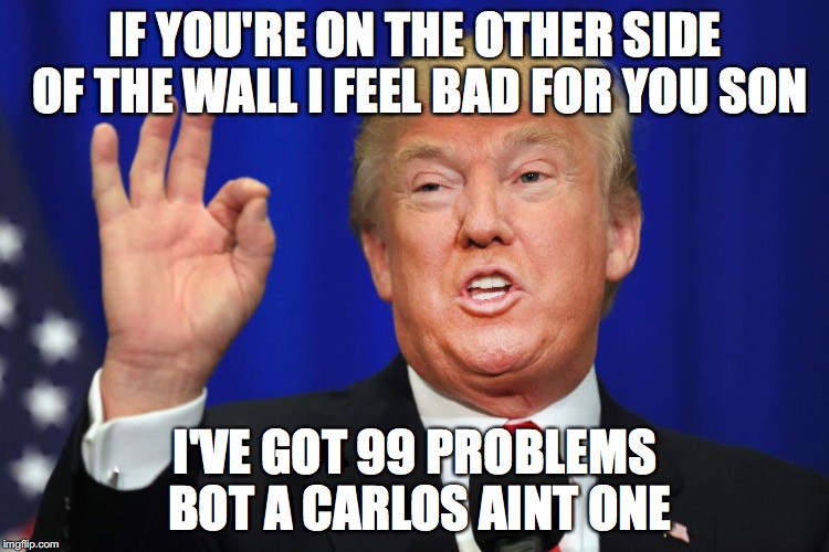 IF YOU'RE ON THE OTHER SIDE OF THE WALL I FEEL BAD FOR YOU SON; I'VE GOT 99 PROBLEMS BOT A CARLOS AINT ONE | image tagged in build the wall,trump | made w/ Imgflip meme maker