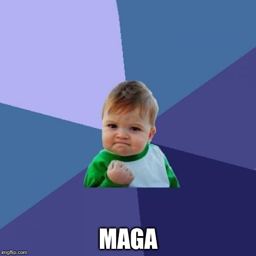 Success Kid Meme | MAGA | image tagged in memes,success kid | made w/ Imgflip meme maker