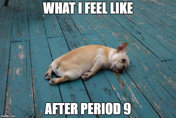 Tired dog | WHAT I FEEL LIKE; AFTER PERIOD 9 | image tagged in tired dog | made w/ Imgflip meme maker