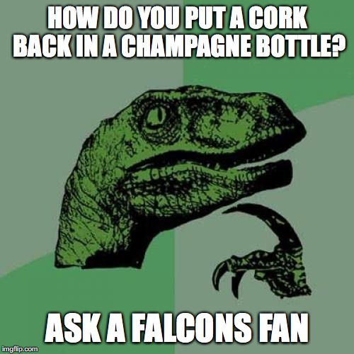 Philosoraptor Meme | HOW DO YOU PUT A CORK BACK IN A CHAMPAGNE BOTTLE? ASK A FALCONS FAN | image tagged in memes,philosoraptor | made w/ Imgflip meme maker