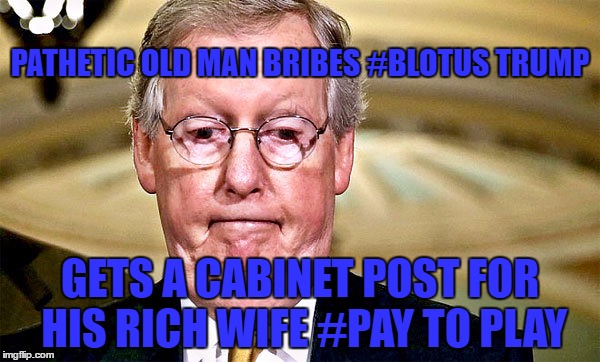 McConnell | PATHETIC OLD MAN BRIBES #BLOTUS TRUMP; GETS A CABINET POST FOR HIS RICH WIFE #PAY TO PLAY | image tagged in obstructionist mcconnell,pathetic,turtle,pay to play | made w/ Imgflip meme maker