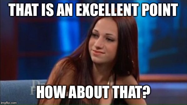 Danielle |  THAT IS AN EXCELLENT POINT; HOW ABOUT THAT? | image tagged in memes,how bow dah | made w/ Imgflip meme maker