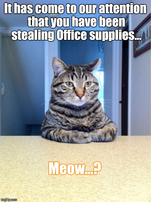 Take A Seat Cat Meme | It has come to our attention that you have been stealing Office supplies... Meow...? | image tagged in memes,take a seat cat | made w/ Imgflip meme maker