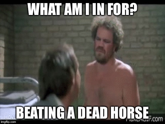 WHAT AM I IN FOR? BEATING A DEAD HORSE | made w/ Imgflip meme maker