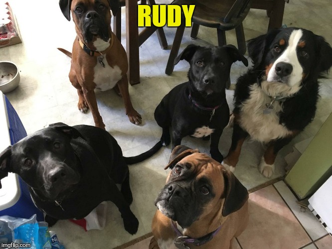 RUDY | made w/ Imgflip meme maker