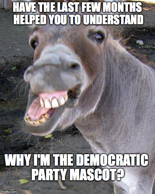 YOUR THOUGHTS ARE GETTING CLEARER,...CLEARER... | HAVE THE LAST FEW MONTHS HELPED YOU TO UNDERSTAND; WHY I'M THE DEMOCRATIC PARTY MASCOT? | image tagged in democrats,jackass | made w/ Imgflip meme maker