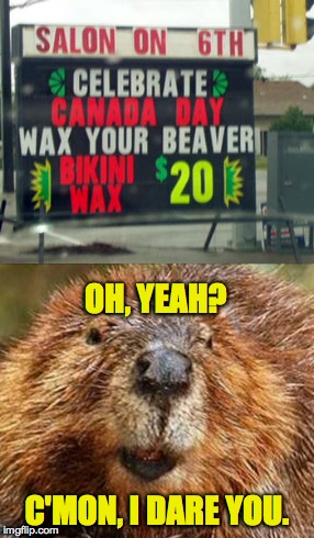 beaver wax | OH, YEAH? C'MON, I DARE YOU. | image tagged in only in canada | made w/ Imgflip meme maker