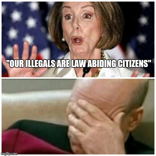 Nancy Pelosi  | "OUR ILLEGALS ARE LAW ABIDING CITIZENS" | image tagged in liberal logic,nancy pelosi,patrick stewart | made w/ Imgflip meme maker
