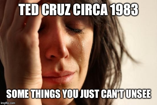 First World Problems Meme | TED CRUZ CIRCA 1983 SOME THINGS YOU JUST CAN'T UNSEE | image tagged in memes,first world problems | made w/ Imgflip meme maker