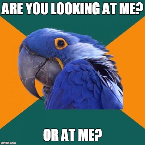 Paranoid Parrot | ARE YOU LOOKING AT ME? OR AT ME? | image tagged in memes,paranoid parrot | made w/ Imgflip meme maker