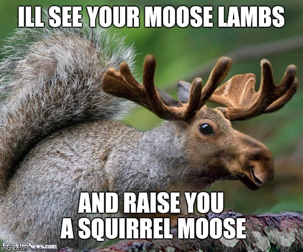 ILL SEE YOUR MOOSE LAMBS AND RAISE YOU A SQUIRREL MOOSE | made w/ Imgflip meme maker