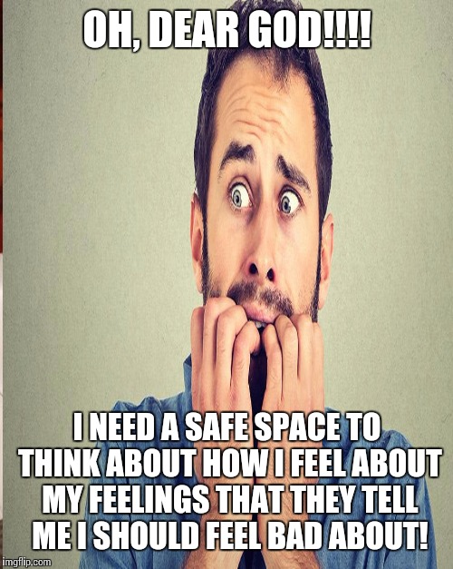 OH, DEAR GOD!!!! I NEED A SAFE SPACE TO THINK ABOUT HOW I FEEL ABOUT MY FEELINGS THAT THEY TELL ME I SHOULD FEEL BAD ABOUT! | made w/ Imgflip meme maker