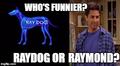 Raydog V Raymond | WHO'S FUNNIER? RAYDOG OR; RAYMOND? | image tagged in raydog v raymond,memes,raydog,raymond,funny | made w/ Imgflip meme maker