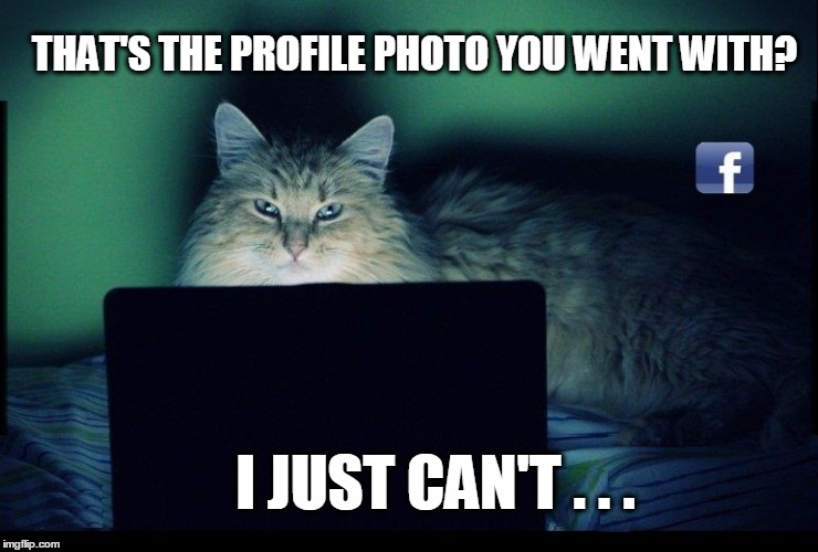 Internet Cat is baffled by your choices. | THAT'S THE PROFILE PHOTO YOU WENT WITH? I JUST CAN'T . . . | image tagged in funny cat,cat,facebook,profile picture,wow,much wow | made w/ Imgflip meme maker