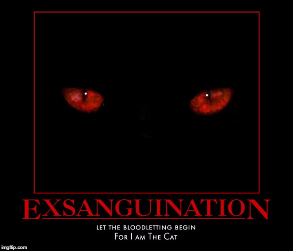 Let the Bloodletting Begin | . | image tagged in demotivationals,creepy,wmp,for i am the cat | made w/ Imgflip meme maker