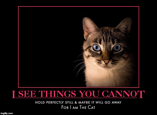 I See Things | . | image tagged in demotivationals,memes,creepy,wmp,for i am the cat | made w/ Imgflip meme maker