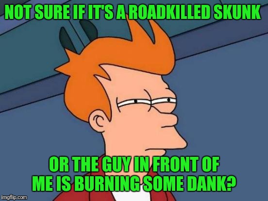 I love that smell....  | NOT SURE IF IT'S A ROADKILLED SKUNK; OR THE GUY IN FRONT OF ME IS BURNING SOME DANK? | image tagged in memes,futurama fry,dank,wake and bake,mary jane | made w/ Imgflip meme maker