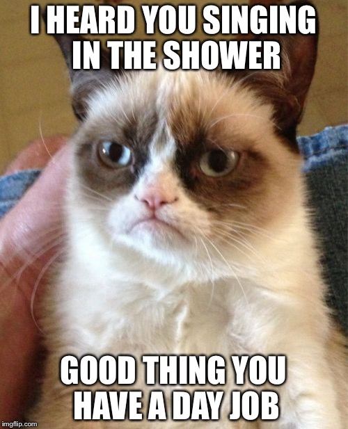 Grumpy Cat | I HEARD YOU SINGING IN THE SHOWER; GOOD THING YOU HAVE A DAY JOB | image tagged in memes,grumpy cat | made w/ Imgflip meme maker