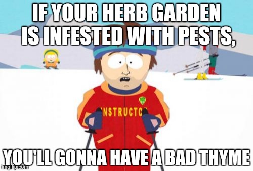 Super Cool Ski Instructor Meme | IF YOUR HERB GARDEN IS INFESTED WITH PESTS, YOU'LL GONNA HAVE A BAD THYME | image tagged in memes,super cool ski instructor | made w/ Imgflip meme maker
