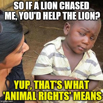 Third World Skeptical Kid Meme | SO IF A LION CHASED ME, YOU'D HELP THE LION? YUP, THAT'S WHAT 'ANIMAL RIGHTS' MEANS | image tagged in memes,third world skeptical kid | made w/ Imgflip meme maker