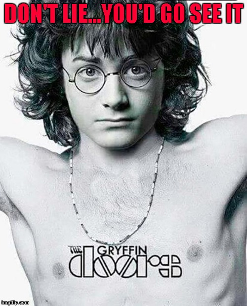 Can you imagine Harry Potter as a musical?   |  DON'T LIE...YOU'D GO SEE IT | image tagged in the gryffin doors,memes,harry potter,the doors,funny,fake movie | made w/ Imgflip meme maker