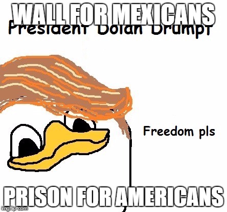 Dolan Drumpf | WALL FOR MEXICANS; PRISON FOR AMERICANS | image tagged in dolan drumpf | made w/ Imgflip meme maker