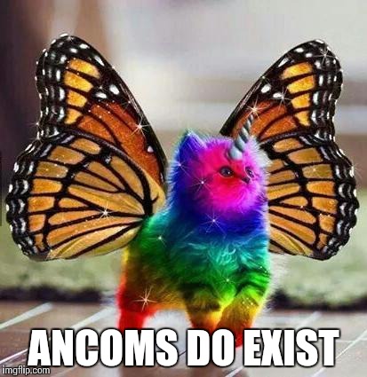 Rainbow unicorn butterfly kitten | ANCOMS DO EXIST | image tagged in rainbow unicorn butterfly kitten | made w/ Imgflip meme maker