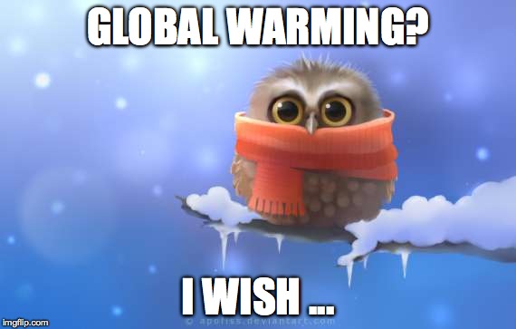 Minus 20 right now..March 5/17 | GLOBAL WARMING? I WISH ... | image tagged in this is ridiculous | made w/ Imgflip meme maker