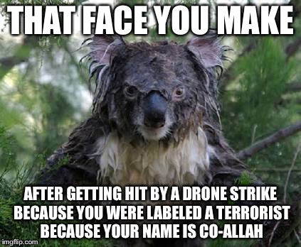 Angry koala | THAT FACE YOU MAKE; AFTER GETTING HIT BY A DRONE STRIKE BECAUSE YOU WERE LABELED A TERRORIST BECAUSE YOUR NAME IS CO-ALLAH | image tagged in angry koala,memes | made w/ Imgflip meme maker