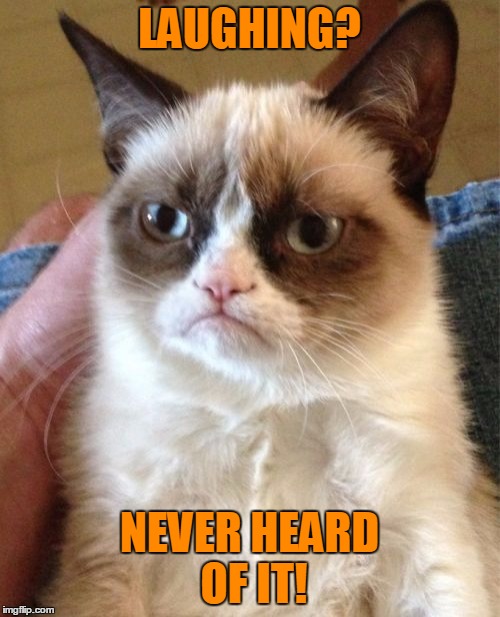 Grumpy Cat Meme | LAUGHING? NEVER HEARD OF IT! | image tagged in memes,grumpy cat | made w/ Imgflip meme maker