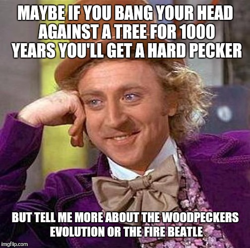 Creepy Condescending Wonka Meme | MAYBE IF YOU BANG YOUR HEAD AGAINST A TREE FOR 1000 YEARS YOU'LL GET A HARD PECKER BUT TELL ME MORE ABOUT THE WOODPECKERS EVOLUTION OR THE F | image tagged in memes,creepy condescending wonka | made w/ Imgflip meme maker