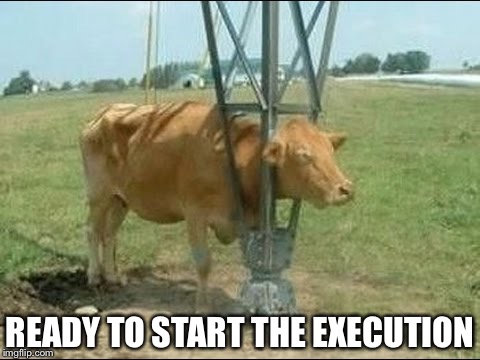 READY TO START THE EXECUTION | image tagged in bad luck brian | made w/ Imgflip meme maker