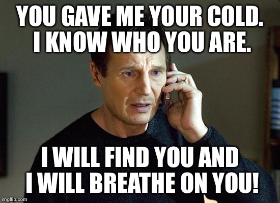 Liam Neeson Taken 2 Meme | YOU GAVE ME YOUR COLD. I KNOW WHO YOU ARE. I WILL FIND YOU AND I WILL BREATHE ON YOU! | image tagged in memes,liam neeson taken 2 | made w/ Imgflip meme maker