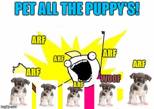 X All The Y | PET ALL THE PUPPY'S! ARF; ARF; ARF; ARF; ARF; WOOF; ARF | image tagged in memes,x all the y | made w/ Imgflip meme maker