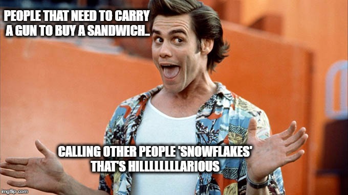 Snowflake | PEOPLE THAT NEED TO CARRY A GUN TO BUY A SANDWICH.. CALLING OTHER PEOPLE 'SNOWFLAKES' THAT'S HILLLLLLLLARIOUS | image tagged in snowflake | made w/ Imgflip meme maker