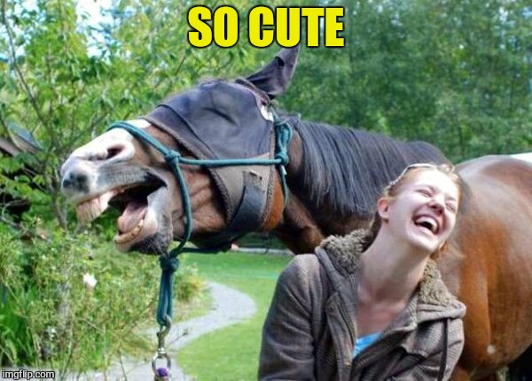 Laughing Horse | SO CUTE | image tagged in laughing horse | made w/ Imgflip meme maker