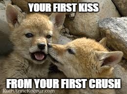 coyote's first kiss  | YOUR FIRST KISS; FROM YOUR FIRST CRUSH | image tagged in gifs,funny | made w/ Imgflip meme maker