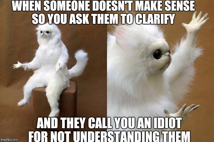 Persian Cat Room Guardian Meme | WHEN SOMEONE DOESN'T MAKE SENSE SO YOU ASK THEM TO CLARIFY; AND THEY CALL YOU AN IDIOT FOR NOT UNDERSTANDING THEM | image tagged in memes,persian cat room guardian | made w/ Imgflip meme maker