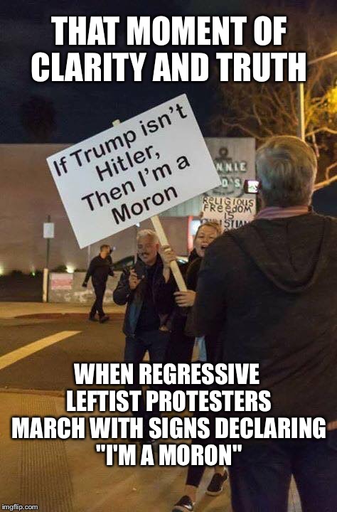 Finally, an honest democrat  | THAT MOMENT OF CLARITY AND TRUTH; WHEN REGRESSIVE LEFTIST PROTESTERS MARCH WITH SIGNS DECLARING "I'M A MORON" | image tagged in true dat,trump,democrats,memes,leftists | made w/ Imgflip meme maker