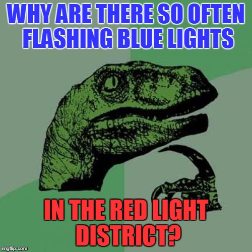 Philosoraptor | WHY ARE THERE SO OFTEN FLASHING BLUE LIGHTS; IN THE RED LIGHT DISTRICT? | image tagged in memes,philosoraptor,funny,red light district,blue light | made w/ Imgflip meme maker